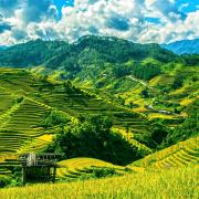 Visiter les rizières en terrasses de Mù Cang Chai