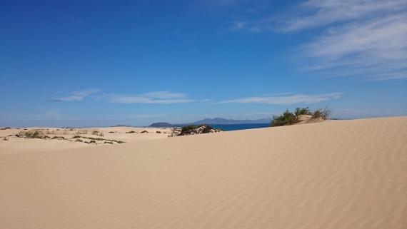 Dunes de Corralejo, au nord de Fuerteventura