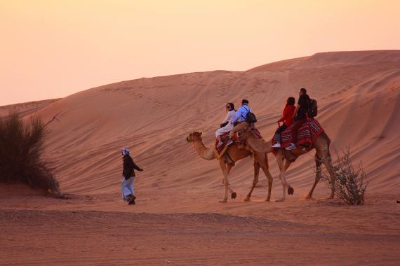 Safari à dos de chameau dans le désert