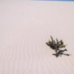 Dunes de sable du parc de Corralejo