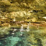 Les 4 Cenotes à voir absolument dans le Yucatan