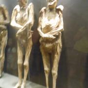 Museo de los Momias