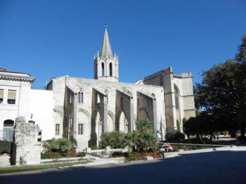 Cathédrale Avignon