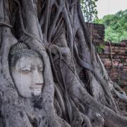 Temples et parc historique d'Ayutthaya