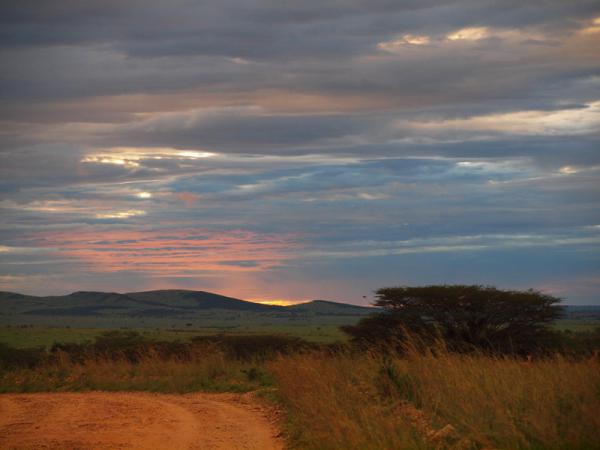 Les couleurs du Masai Mara