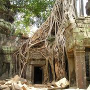Temples d'Angkor