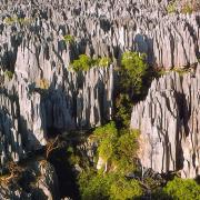 Réserve naturelle intégrale du Tsingy de Bemaraha