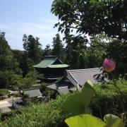 Temple Hōkoku-ji