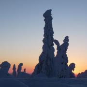 Voyage hivernal en Laponie Finlandaise