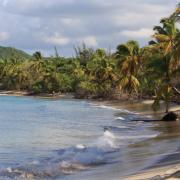 Voyage en Martinique, entre culture et nature