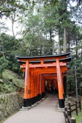 Tori du temple Inari