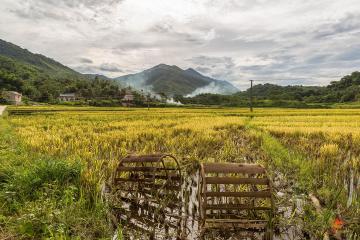 Au milieu des rizières de Pu Luong, Vietnam