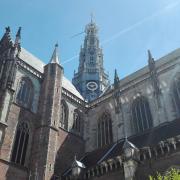 Cathédrale Saint-Bavon de Haarlem