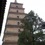 Grande pagode de l'oie sauvage