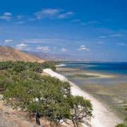 L'essentiel à savoir sur le Timor oriental