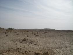 Le désert saoudien, près de Riyad