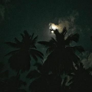 Nuit sous la lune